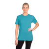 (VINTAGE TURQUOISE) Next Level 6010 | Triblend Short Sleeve Crew