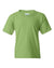 (KIWI) Gildan 5000B | Heavy Cotton Youth T-Shirt
