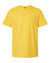 (DAISY MIST) Gildan 67000 | Softstyle CVC T-Shirt